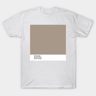 pantone 16-1105 TCX Plaza Taupe T-Shirt